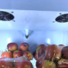 Hệ thống làm lạnh của tủ mát bảo quản hoa quả LCR-1860F chính hãng làm lạnh nhanh.