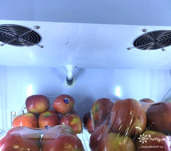 Hệ thống làm lạnh của tủ mát bảo quản hoa quả LCR-1860F chính hãng làm lạnh nhanh.