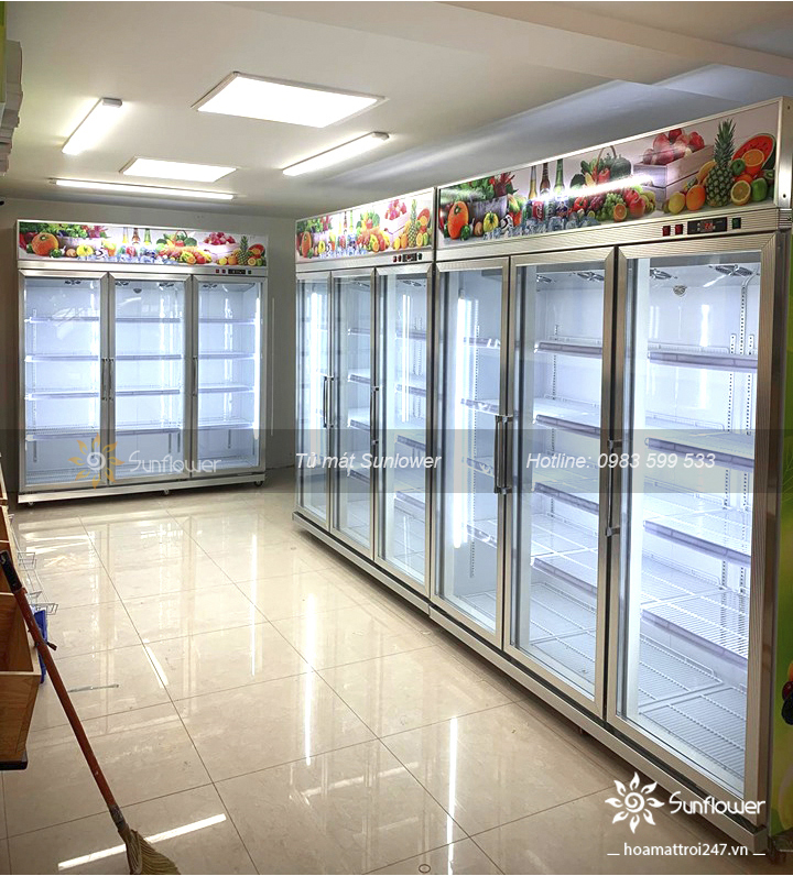 Lắp đặt hệ thống tủ mát 3 cánh cho cửa hàng hoa quả hoa quả sạch tại quận Cầu Giấy