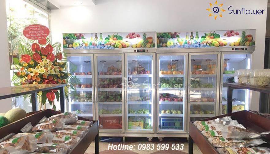 Lắp đặt tủ mát siêu thị cho cửa hàng hoa quả nhập khẩu tại quận Thanh Xuân 
