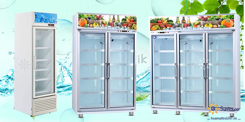 Tủ mát Trung quốc đa dạng mẫu mã, kích thước, phù hợp với mọi không gian trưng bày