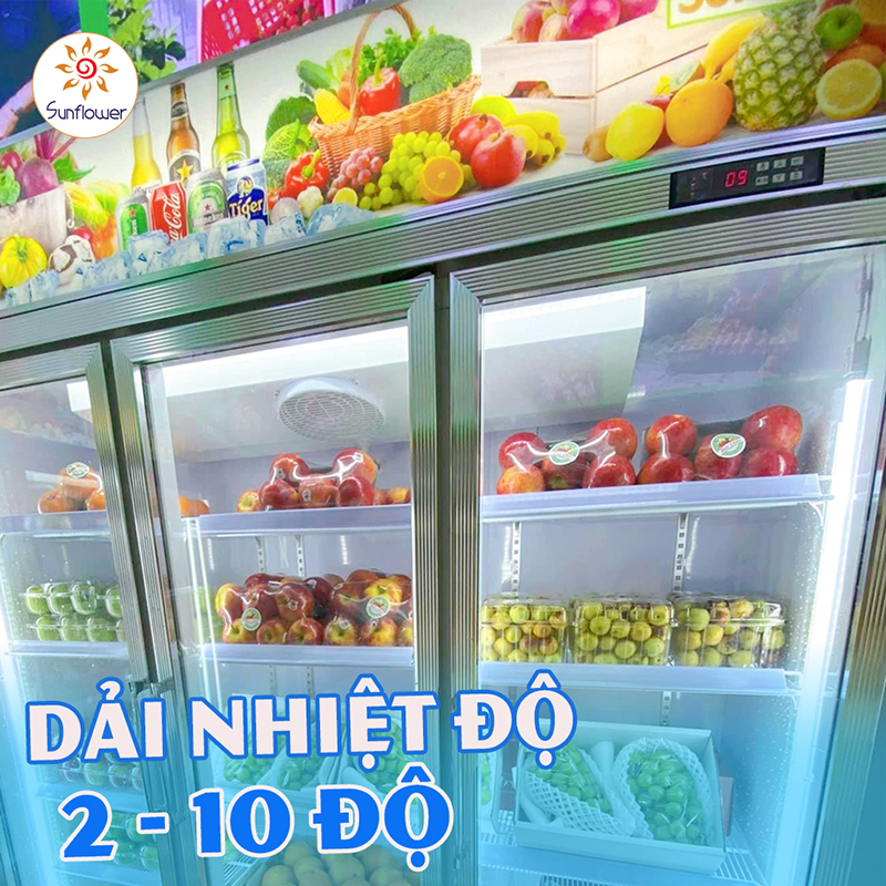 Dải nhiệt độ của tủ nằm trong khoảng từ 2-10 độ C. Đây là nhiệt độ thích hợp để thực phẩm được bảo quản tốt nhất